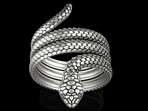 Snake ring model 672 3D Print Model