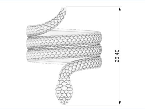 Snake ring model 672 3D Print Model