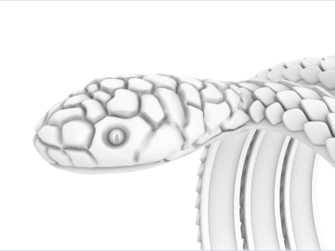 Snake ring model 672 3D Print Model