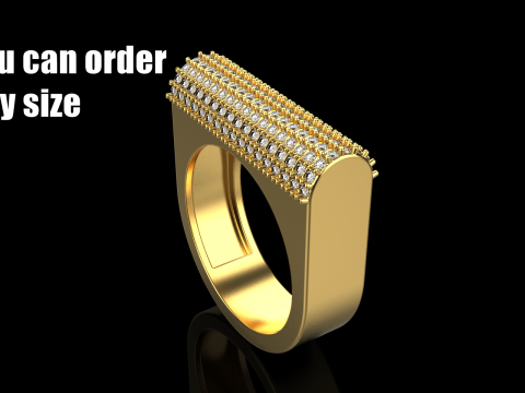 Ring model 651 3D Print Model