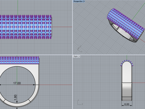 Ringmodel 651 3D printmodel