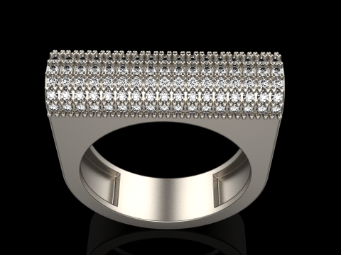 Ringmodel 651 3D printmodel