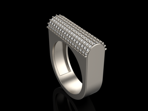 Ringmodel 651 3D printmodel