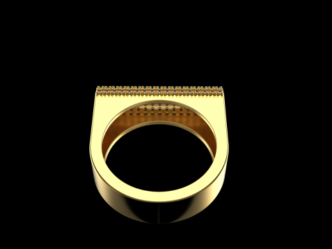 Ringmodel 651 3D printmodel