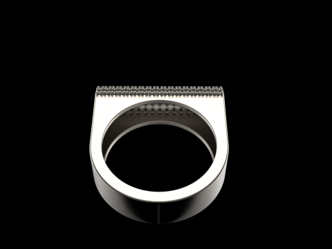 Ringmodel 651 3D printmodel