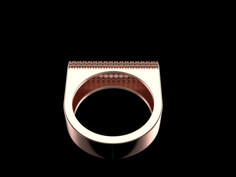 Ringmodel 651 3D printmodel