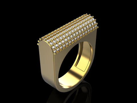 Ring model 650 3D Print Model