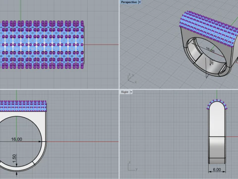 Ring model 650 3D Print Model
