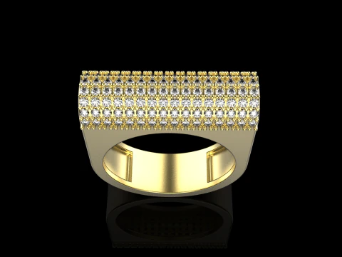 Ring model 650 3D Print Model