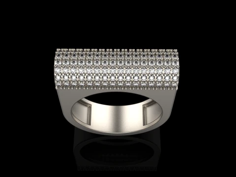 Ring model 650 3D Print Model