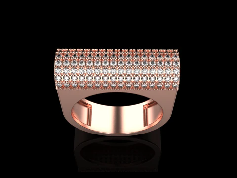 Ring model 650 3D Print Model