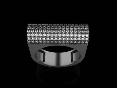 Ring model 650 3D Print Model