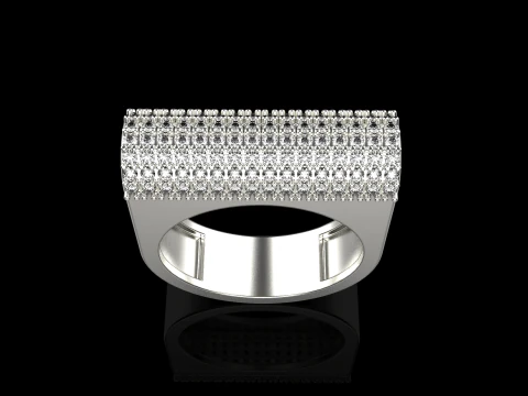 Ring model 650 3D Print Model