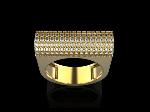 Ring model 650 3D Print Model