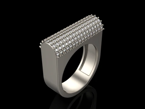 Ring model 650 3D Print Model