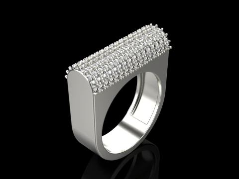 Ring model 650 3D Print Model