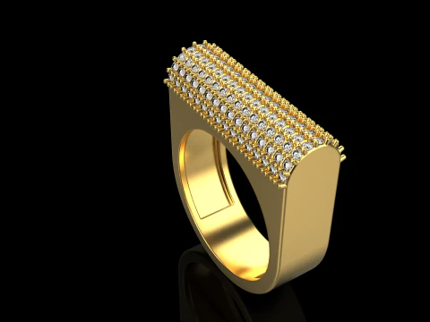 Ring model 650 3D Print Model