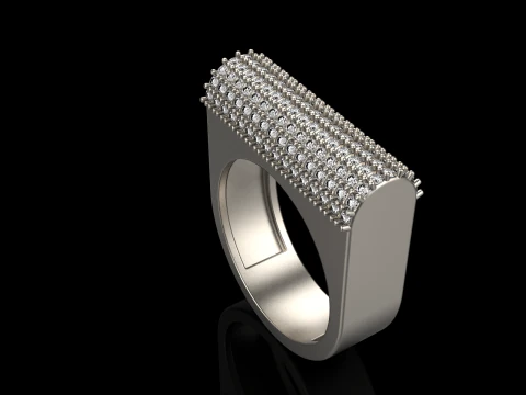 Ring model 650 3D Print Model