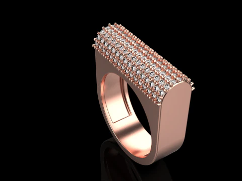 Ring model 650 3D Print Model
