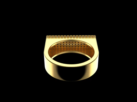 Ring model 650 3D Print Model