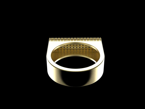 Ring model 650 3D Print Model