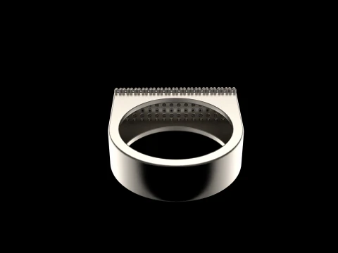 Ring model 650 3D Print Model