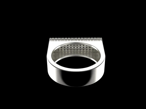 Ring model 650 3D Print Model