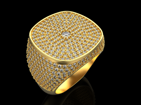 Kissenformring Modell 648 3D Druckmodell