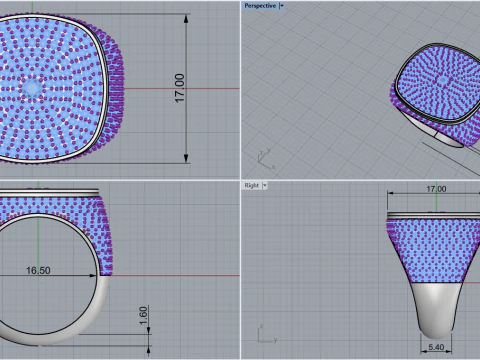 Cushion form ring model 648 3D Print Model