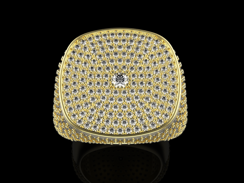 Kissenformring Modell 648 3D Druckmodell