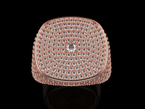 Kissenformring Modell 648 3D Druckmodell