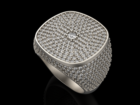 Kissenformring Modell 648 3D Druckmodell