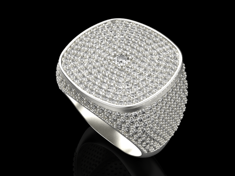 Kissenformring Modell 648 3D Druckmodell