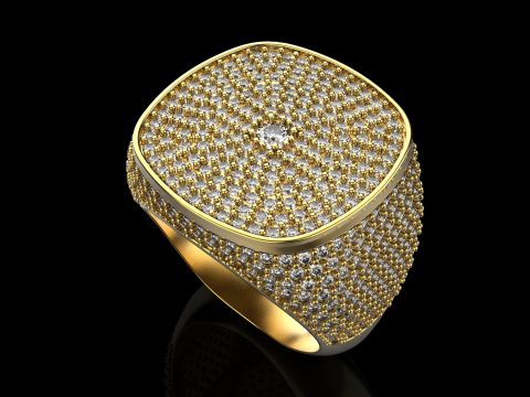 Kissenformring Modell 648 3D Druckmodell