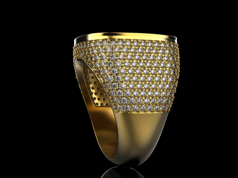 Kissenformring Modell 648 3D Druckmodell