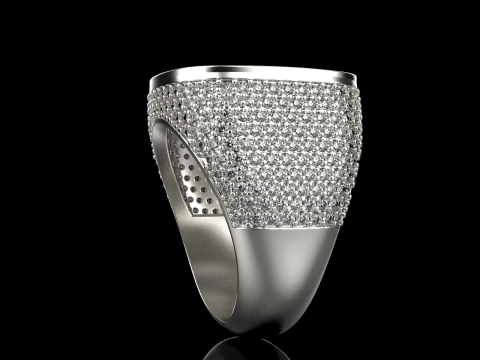 Kissenformring Modell 648 3D Druckmodell