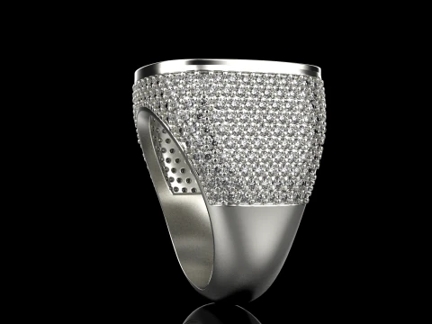 Cushion form ring model 648 3D Print Model