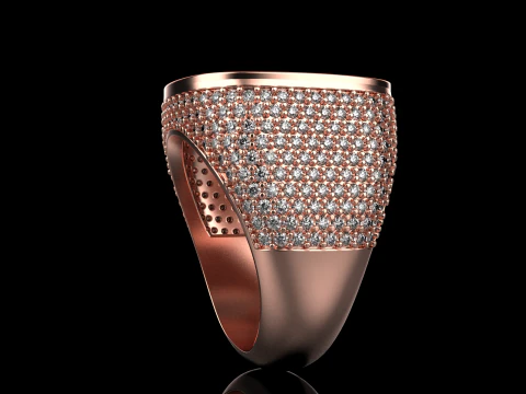 Cushion form ring model 648 3D Print Model