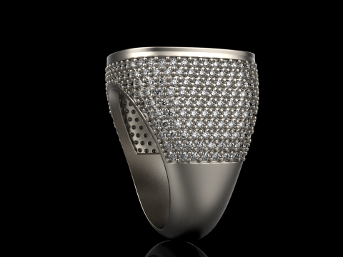 Kissenformring Modell 648 3D Druckmodell