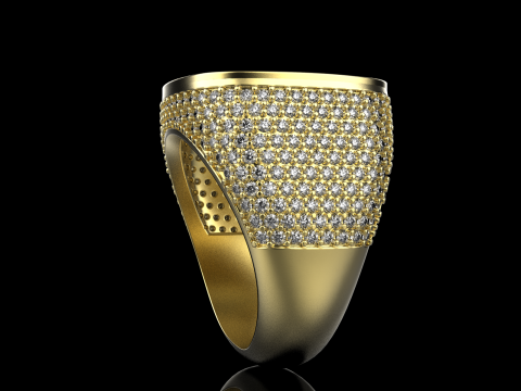 Kissenformring Modell 648 3D Druckmodell