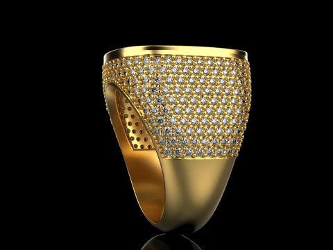 Kissenformring Modell 648 3D Druckmodell