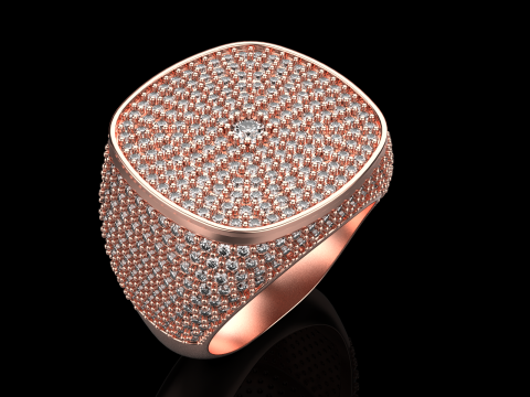 Kissenformring Modell 648 3D Druckmodell