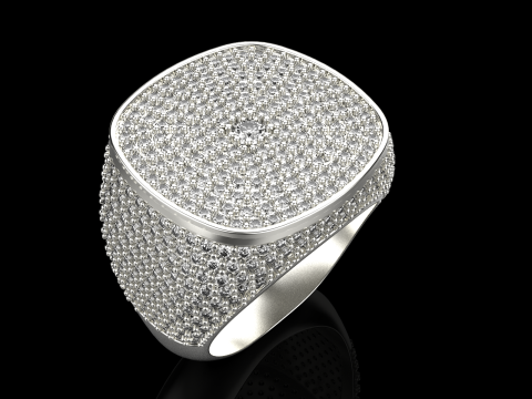 Kissenformring Modell 648 3D Druckmodell