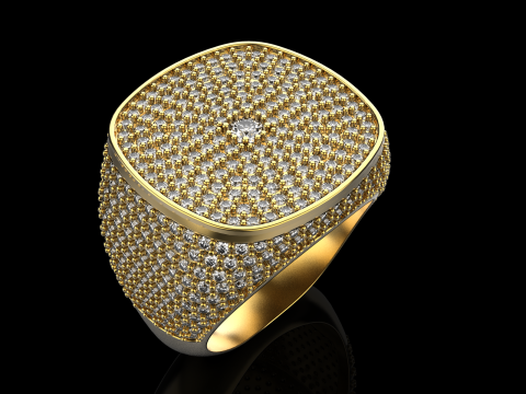 Kissenformring Modell 648 3D Druckmodell