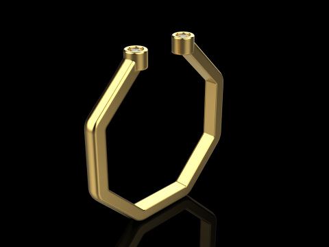 Octagon form ring model 641 3D Print Model