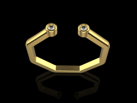 Octagon form ring model 641 3D Print Model