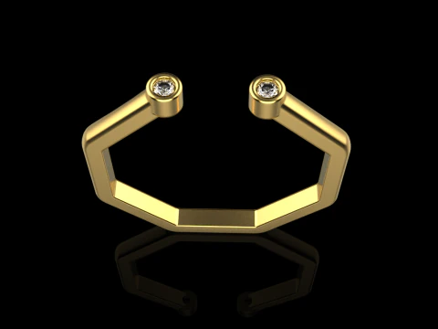 Octagon form ring model 641 3D Print Model