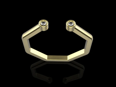 Octagon form ring model 641 3D Print Model