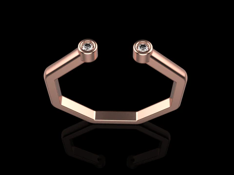 Octagon form ring model 641 3D Print Model