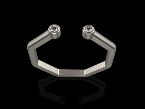 Octagon form ring model 641 3D Print Model